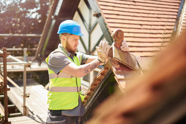 Best Roof Maintenance Services  in Yale, MI